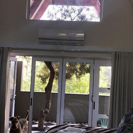 Bella Blue Guesthouse Bloemfontein Kültér fotó