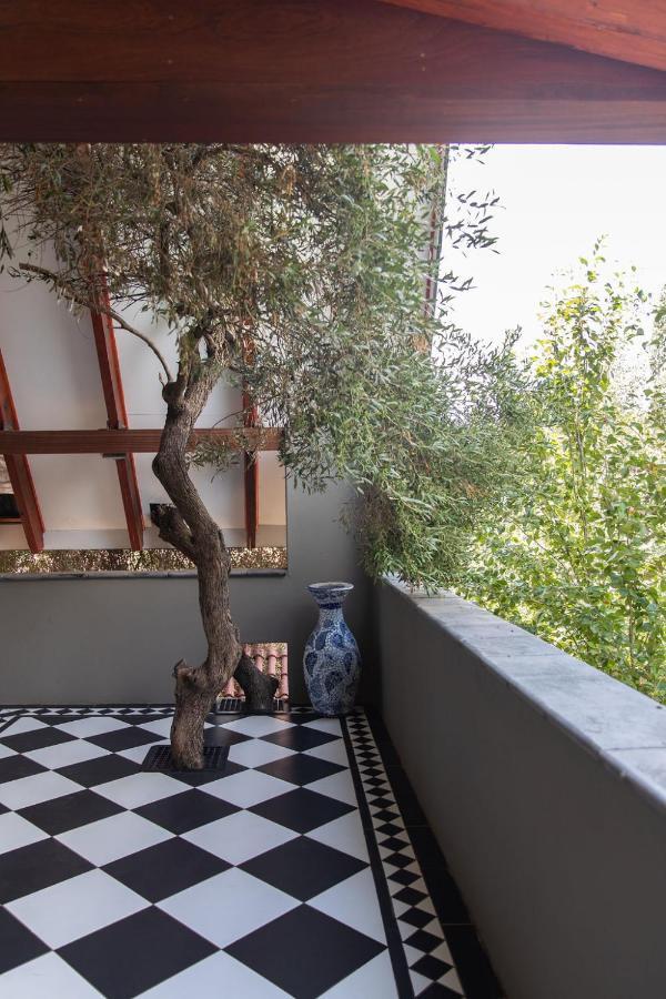 Bella Blue Guesthouse Bloemfontein Kültér fotó